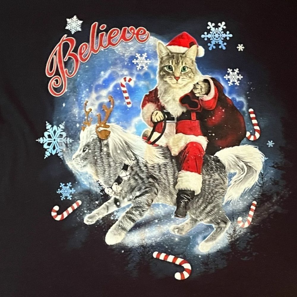 Fruit of the Loom Cotton Believe Kitschy Santa Cat Christmas Tee Navy Blue S